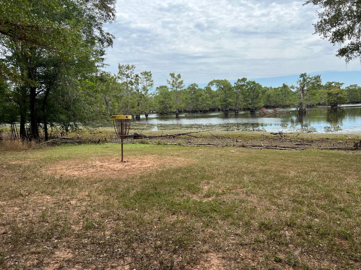 Hole 4 basket