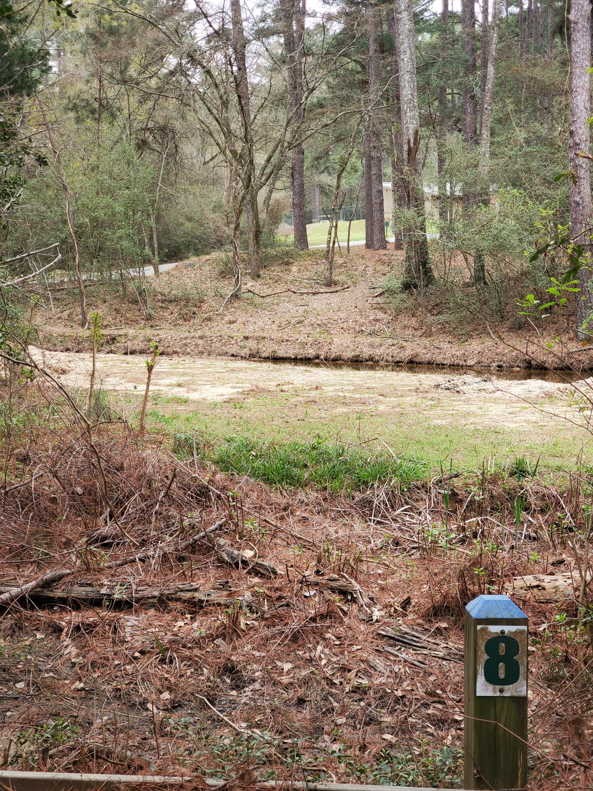 Hole 8 blue tee
