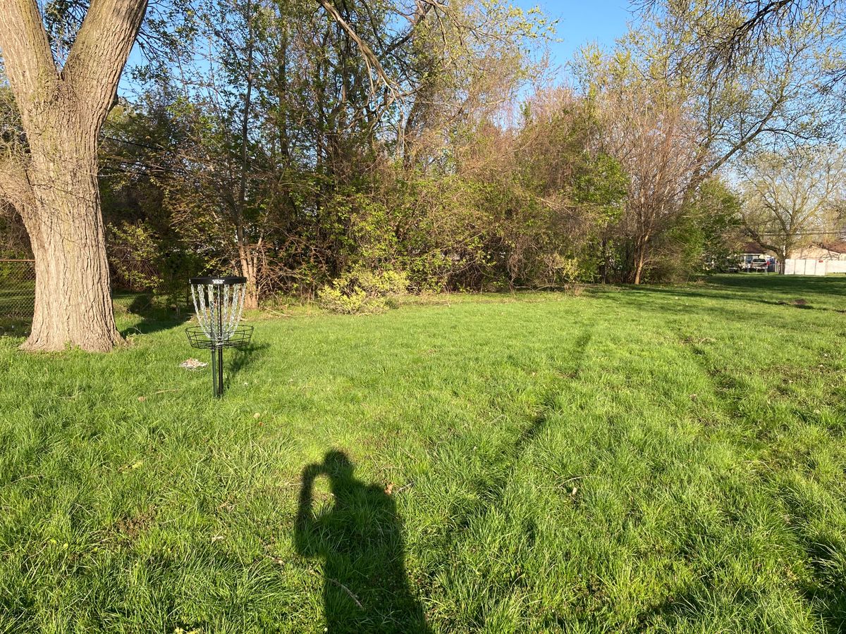 5 green
