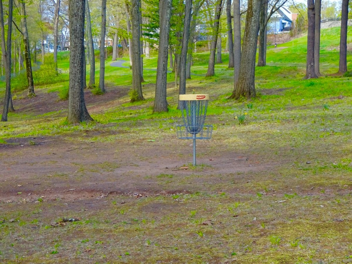 Hole 3A/B basket