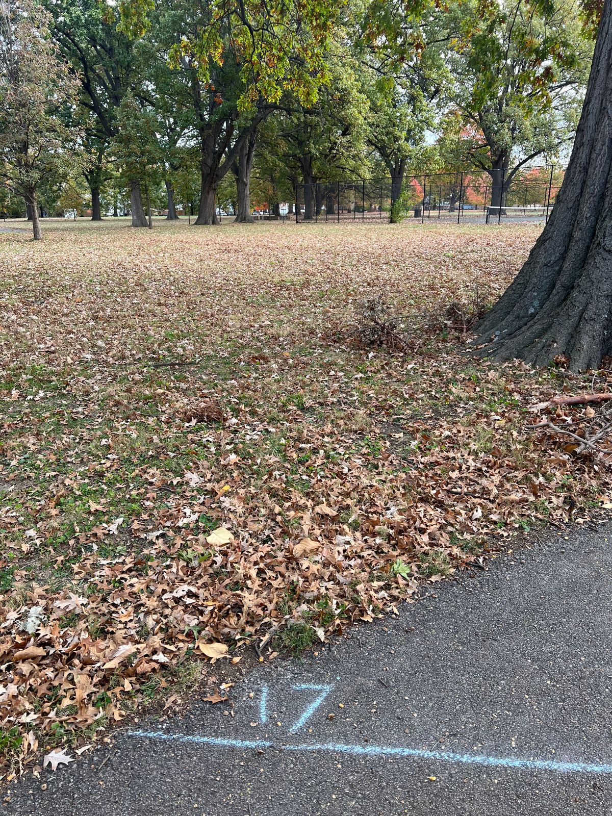 Hole 17 straight shot