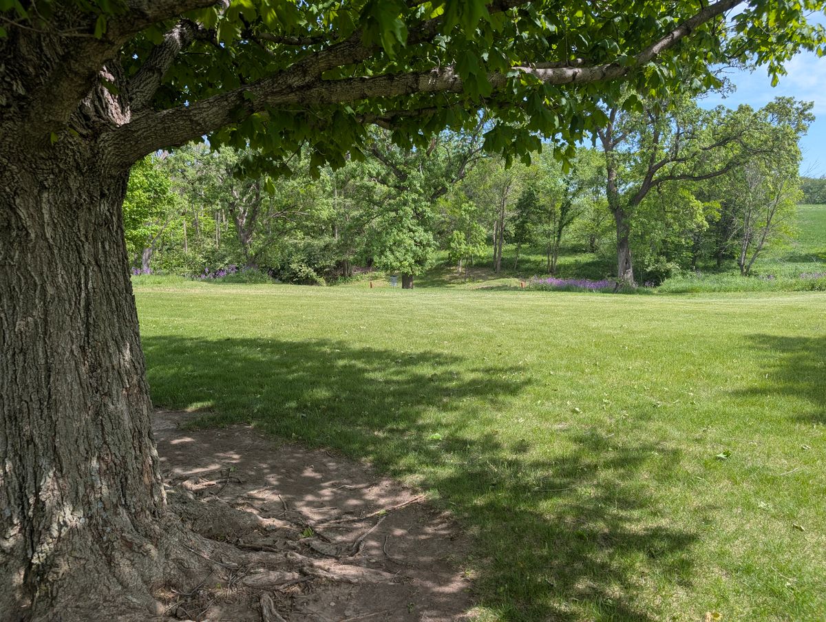 Hole 1's fairway 
