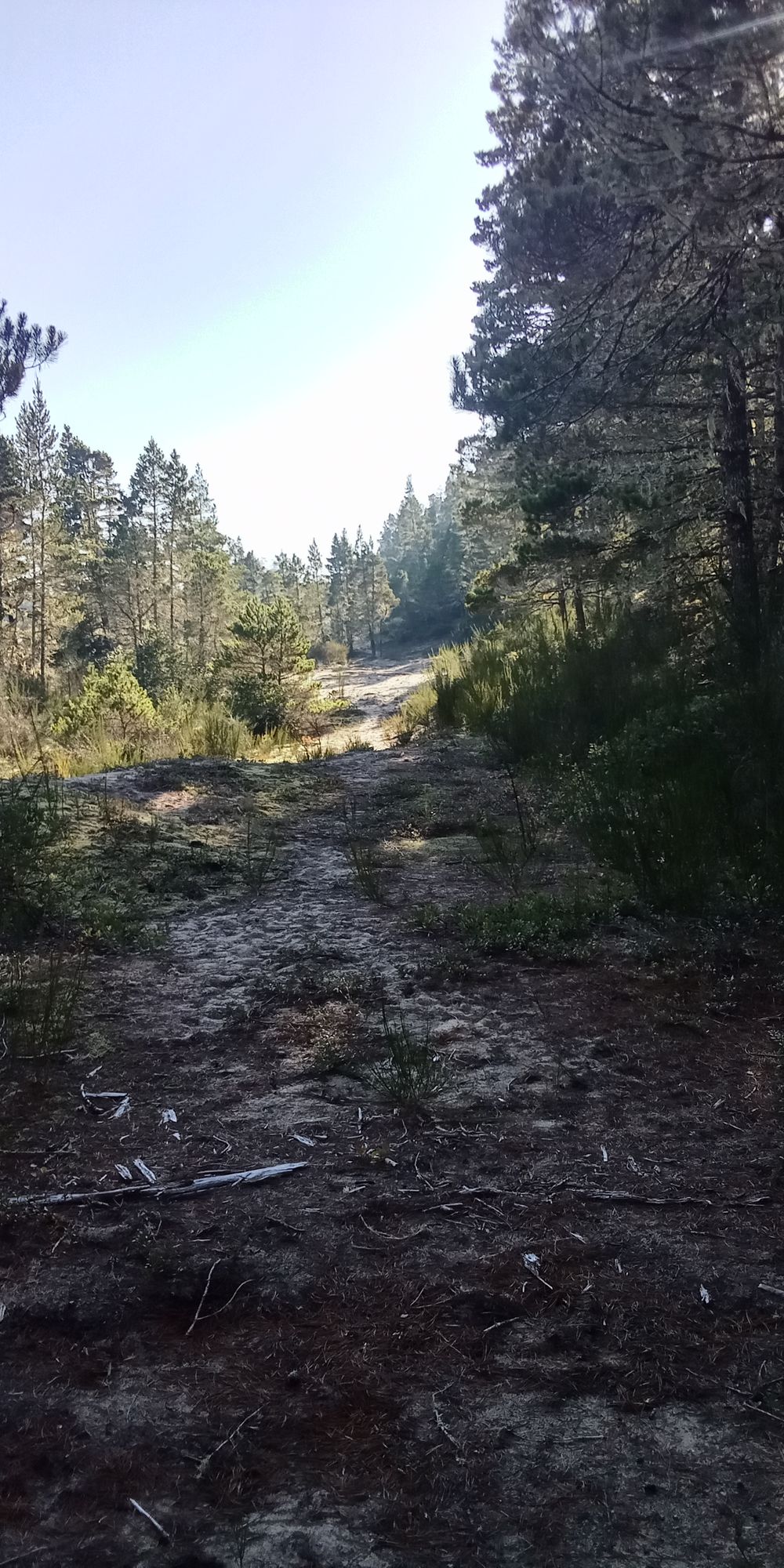 Hole 10