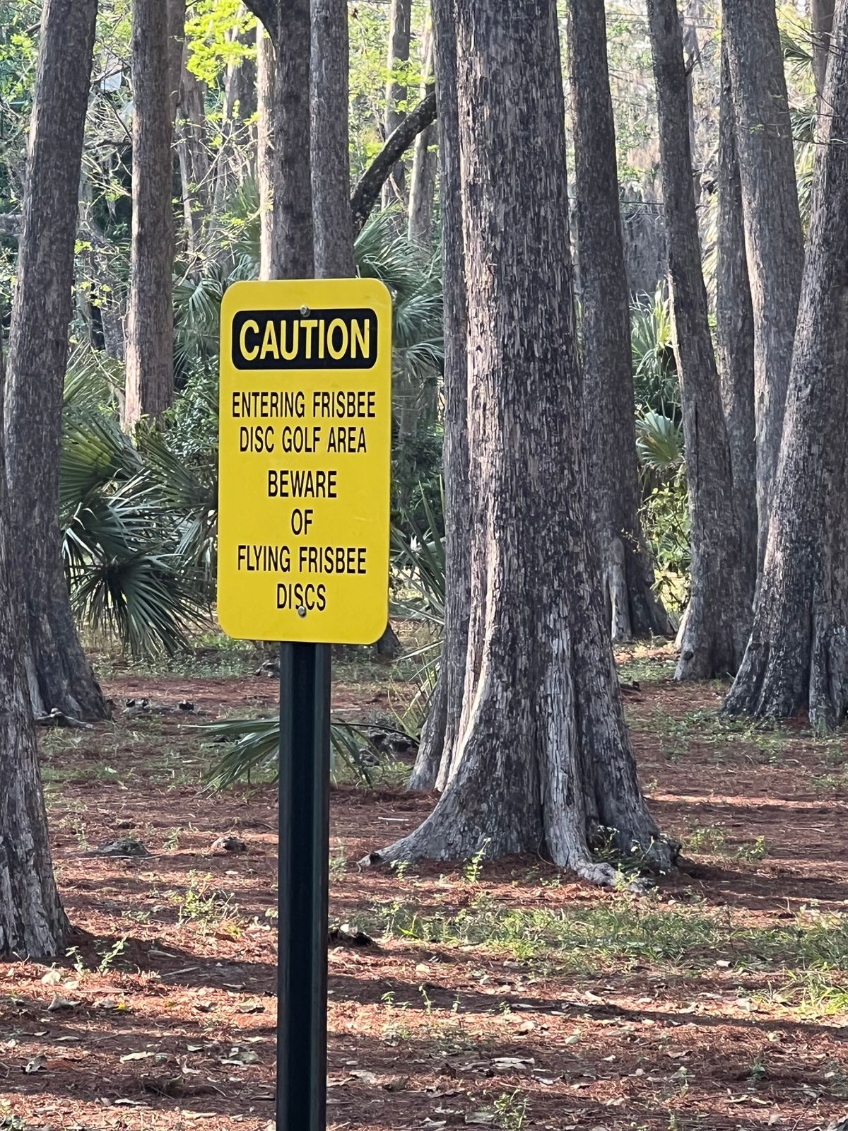 Watch out for Frisbee