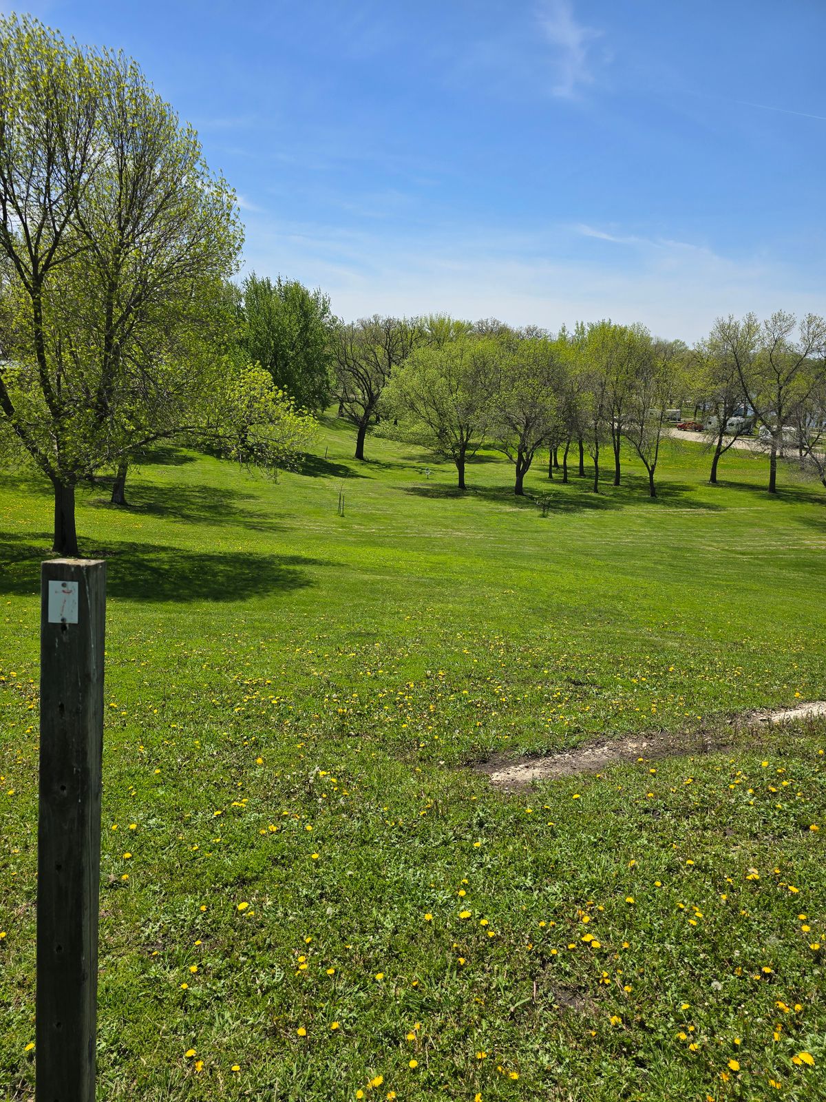 Tee 7