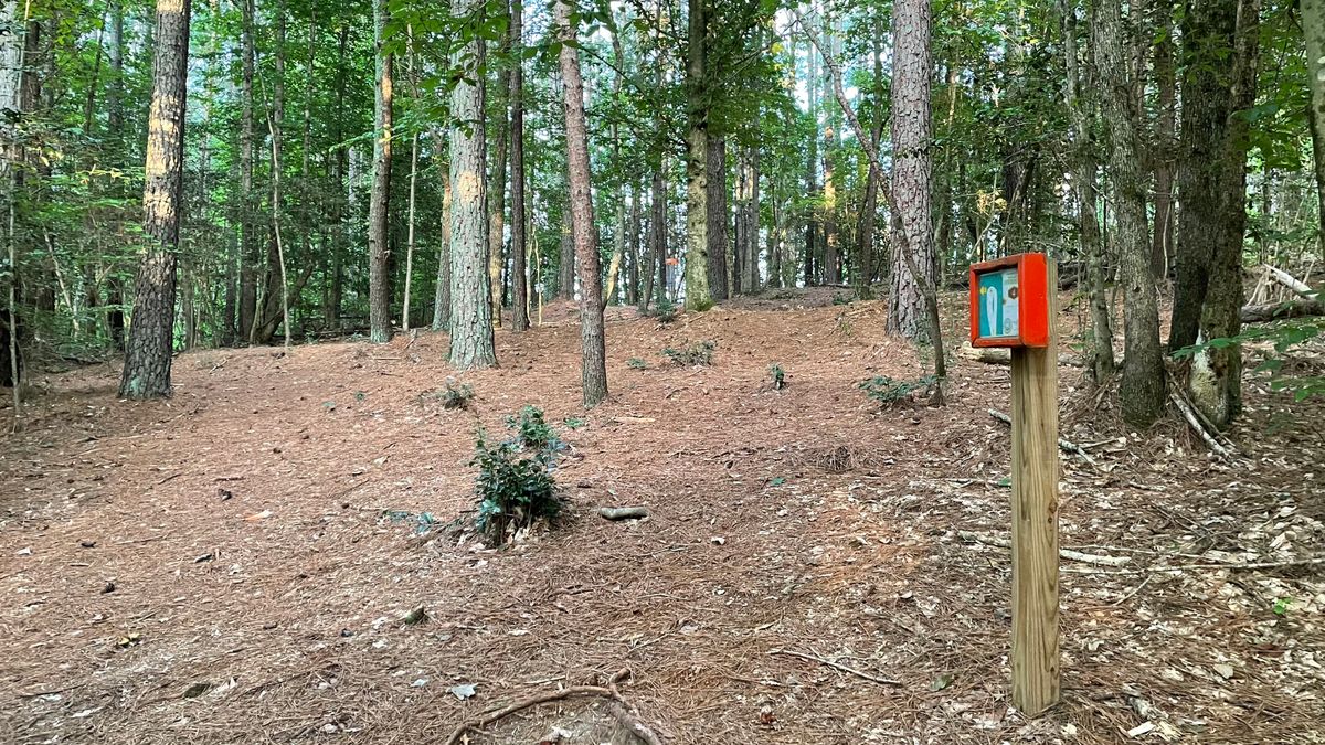 Hole 4
