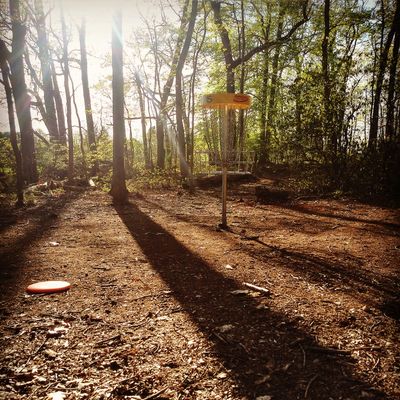 Hole 15