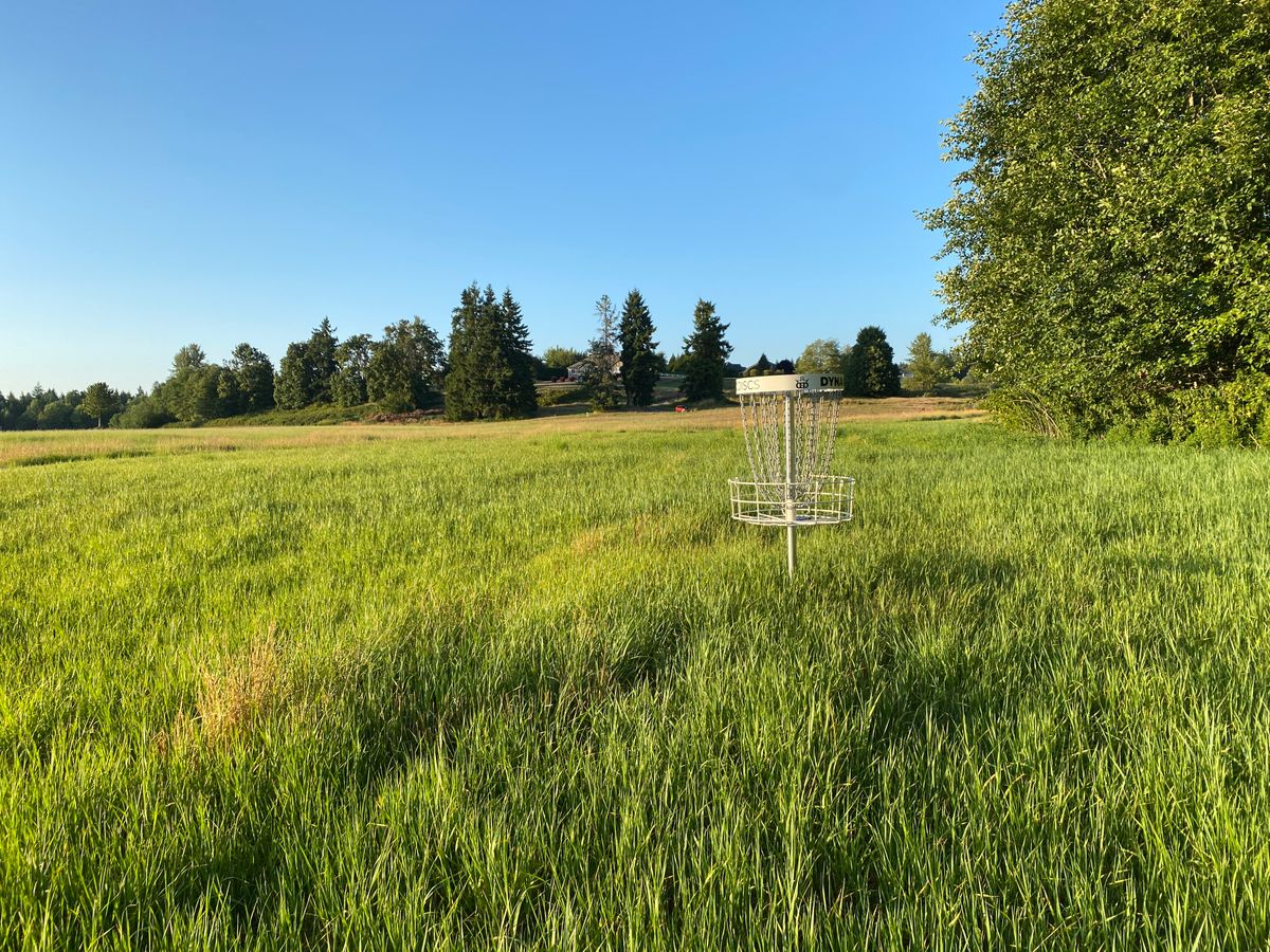 Basket 8 in the middle of a beautiful field of tall lush grass.