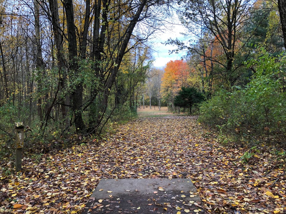 Hole 12 long teepad