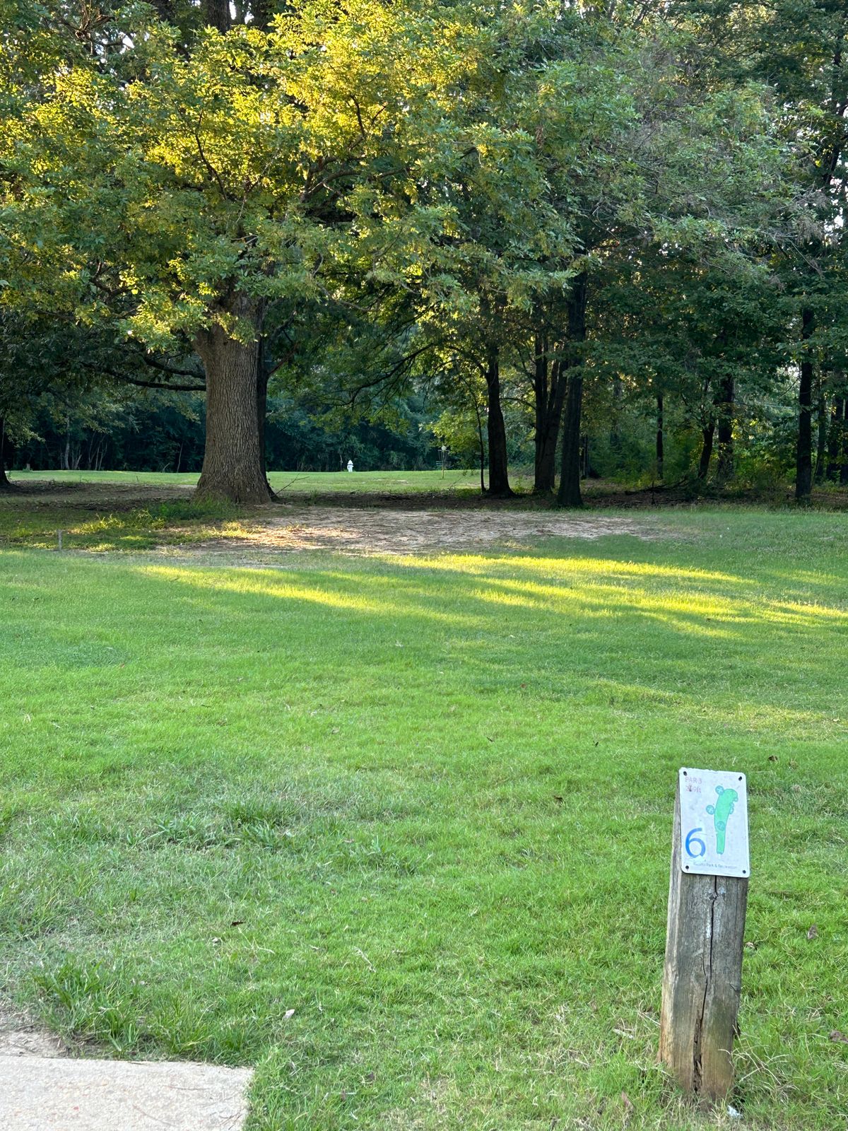 Hole 6 straight ahead through a slightly low canopy
