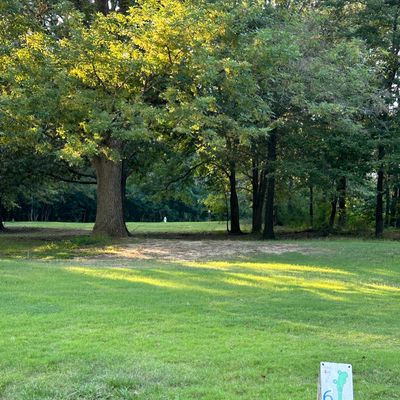Hole 6 straight ahead through a slightly low canopy