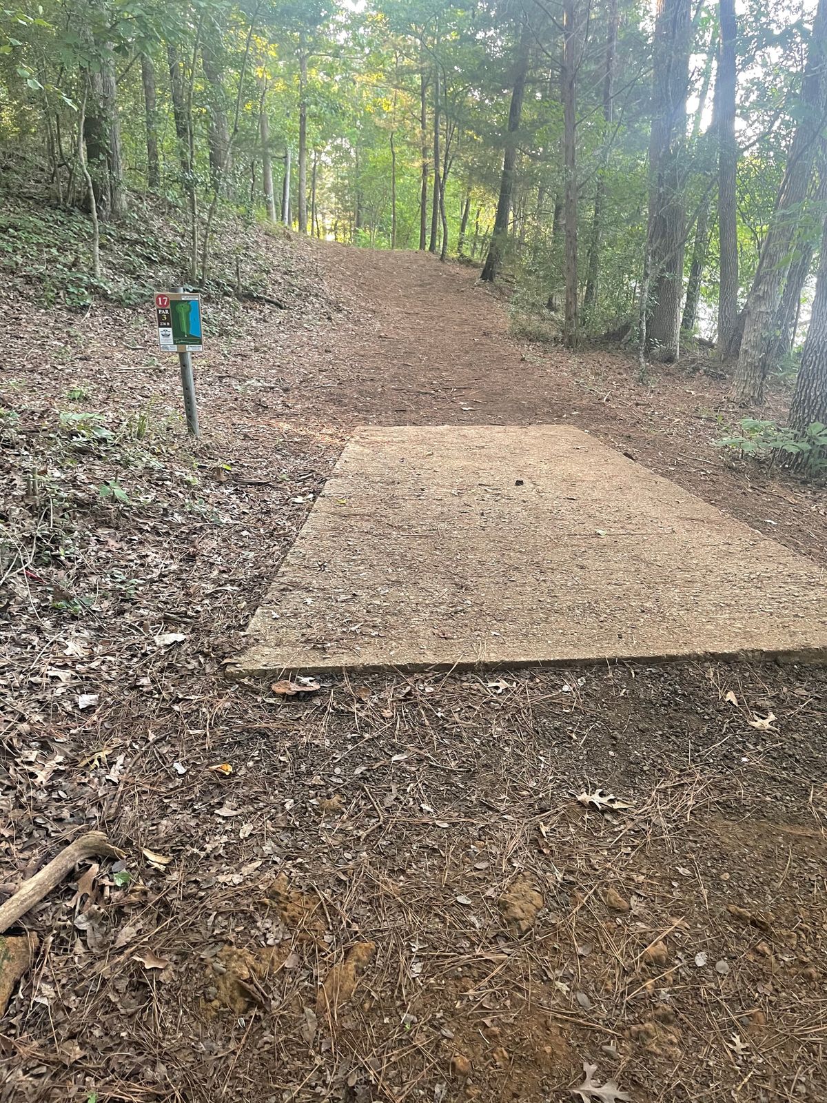 Hole 17.  Straight over hill