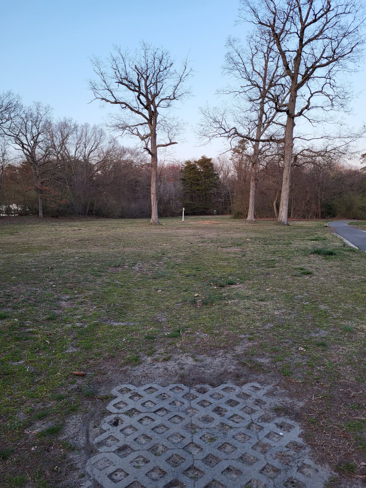 Third Tee has no sign marking it. It starts near the parking lot by 2nd holes basket