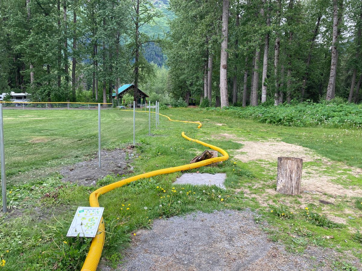 Hole 6 View