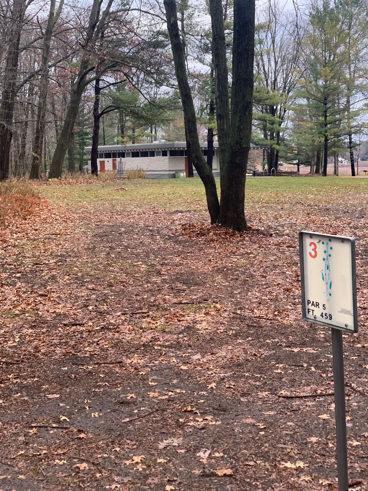 Practice basket near hole 3 tee pad. You can see it in the background