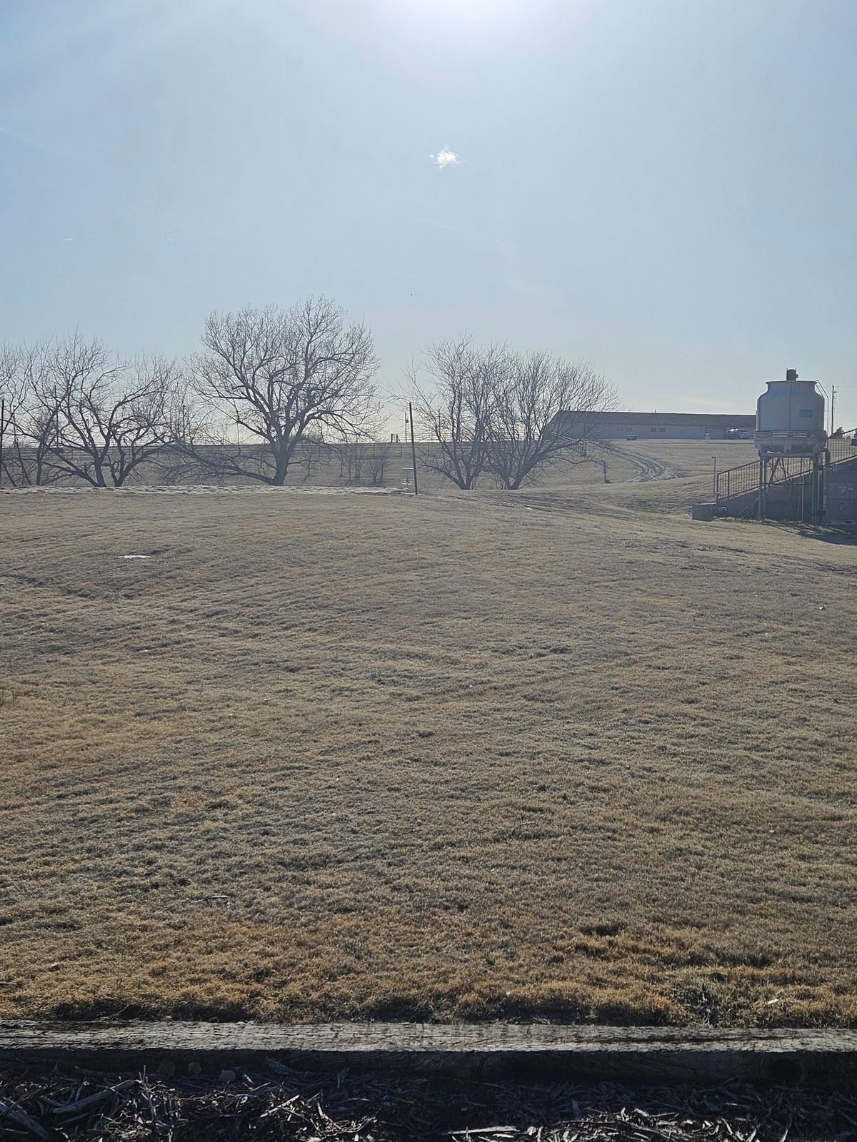 Standing on tee #12