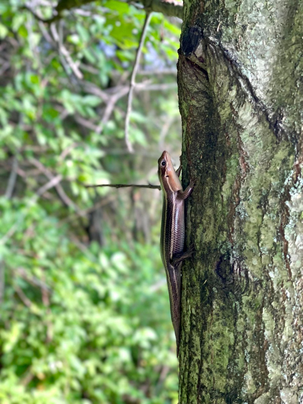 Taken near hole 17 tee pad