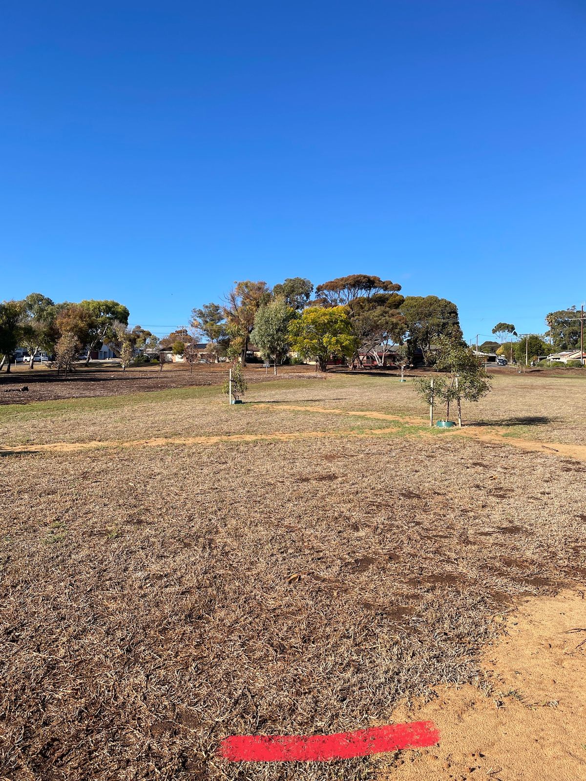 Hole 11 tee