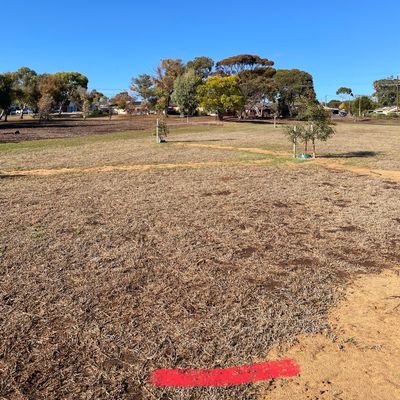 Hole 11 tee