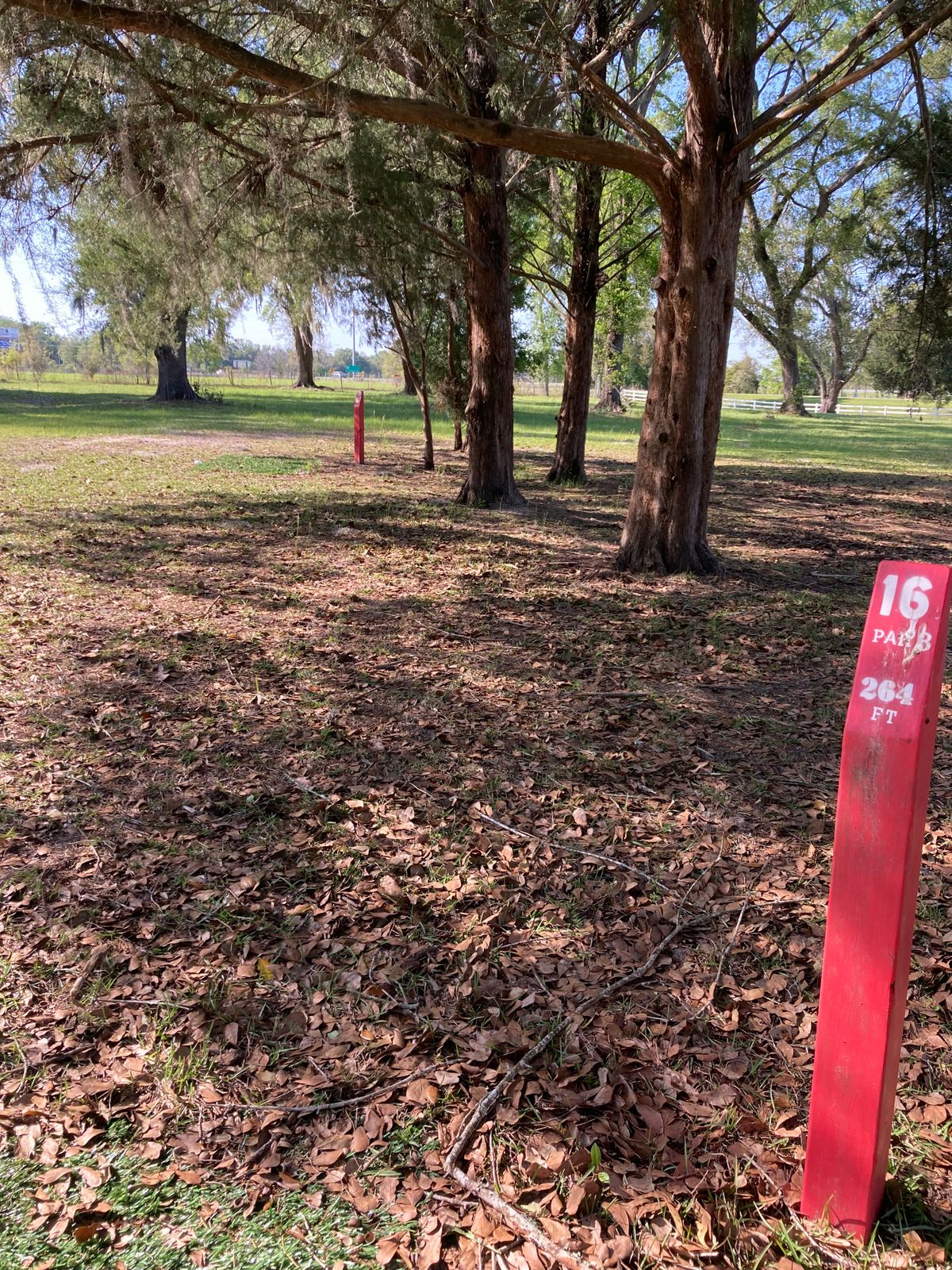 Hole 16
Low ceiling shot