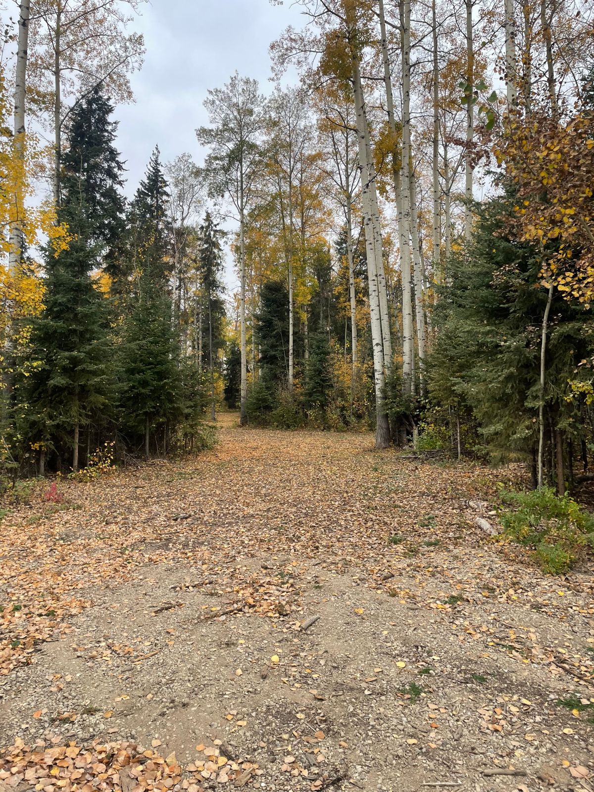 looking back to tee pad