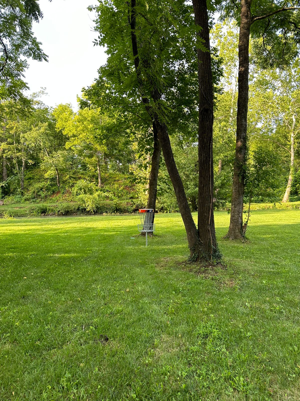 Hole 17 green