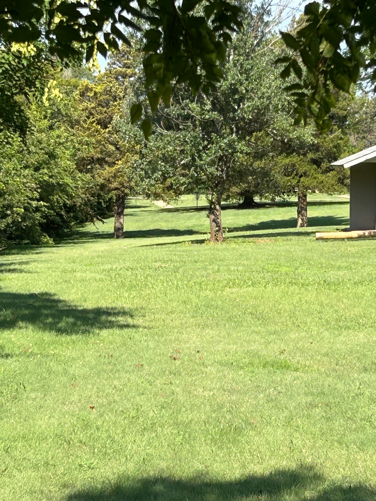 Hole 6