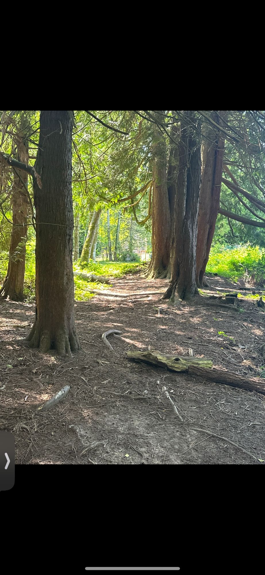 Hole 16