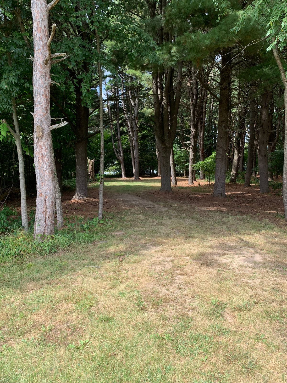 Hole 3 B pin Approach