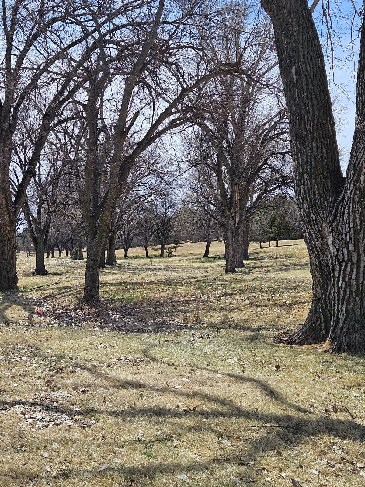 #13 fairway