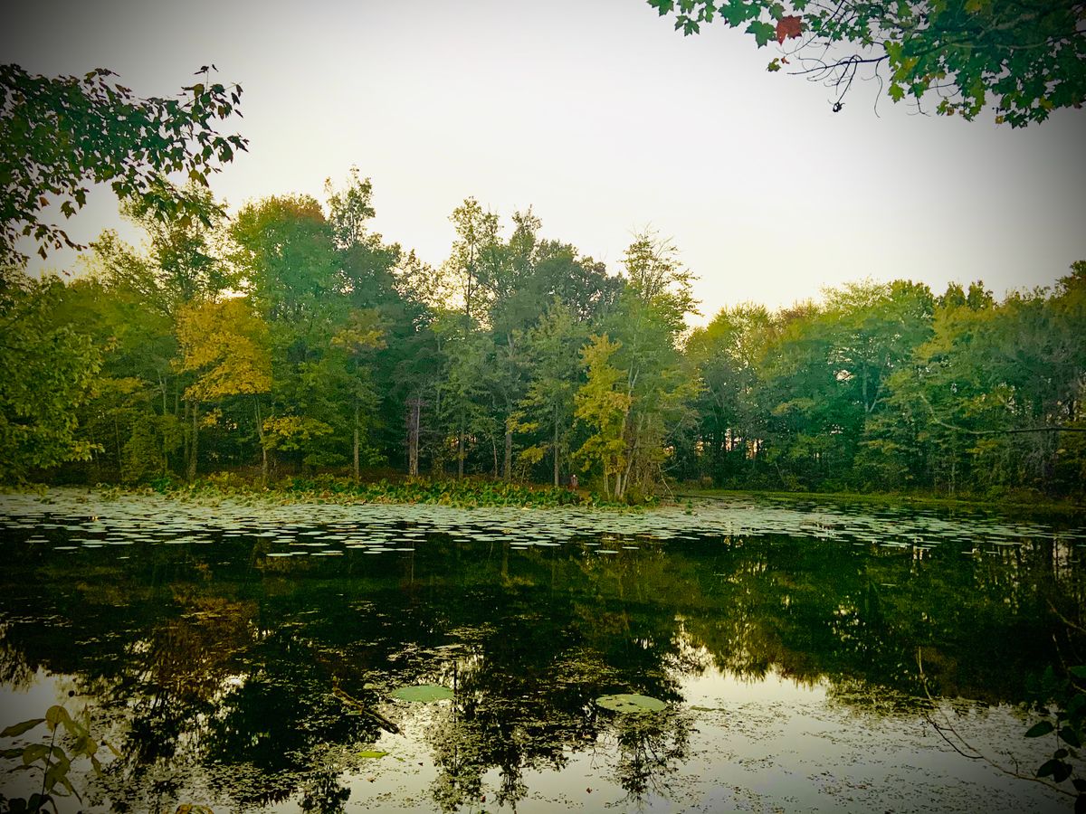View across the lake from around hole 17