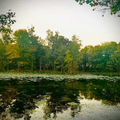 View across the lake from around hole 17