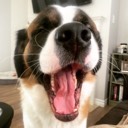 User avatar image