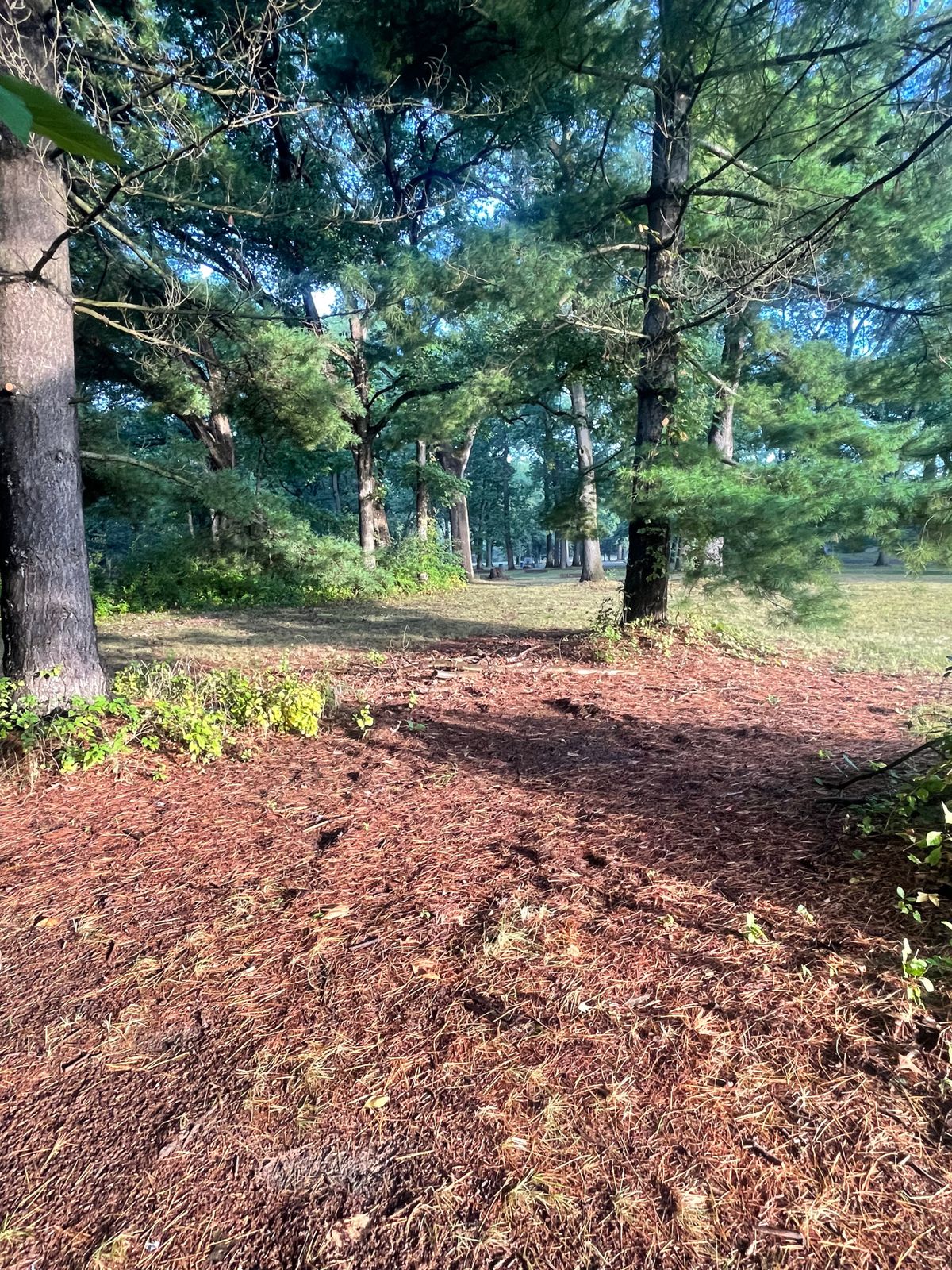 Tee location of hole 2