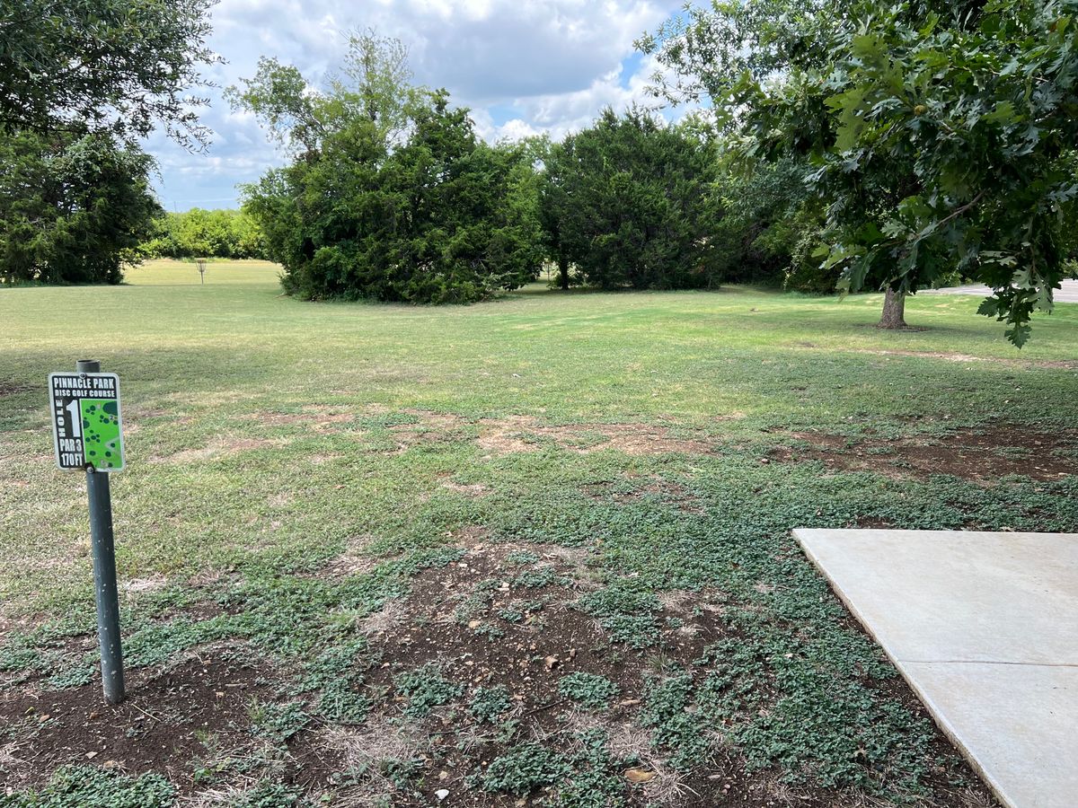 Hole 1. The basket is tucked behind the trees, NOT the one in view. That is hole 9.