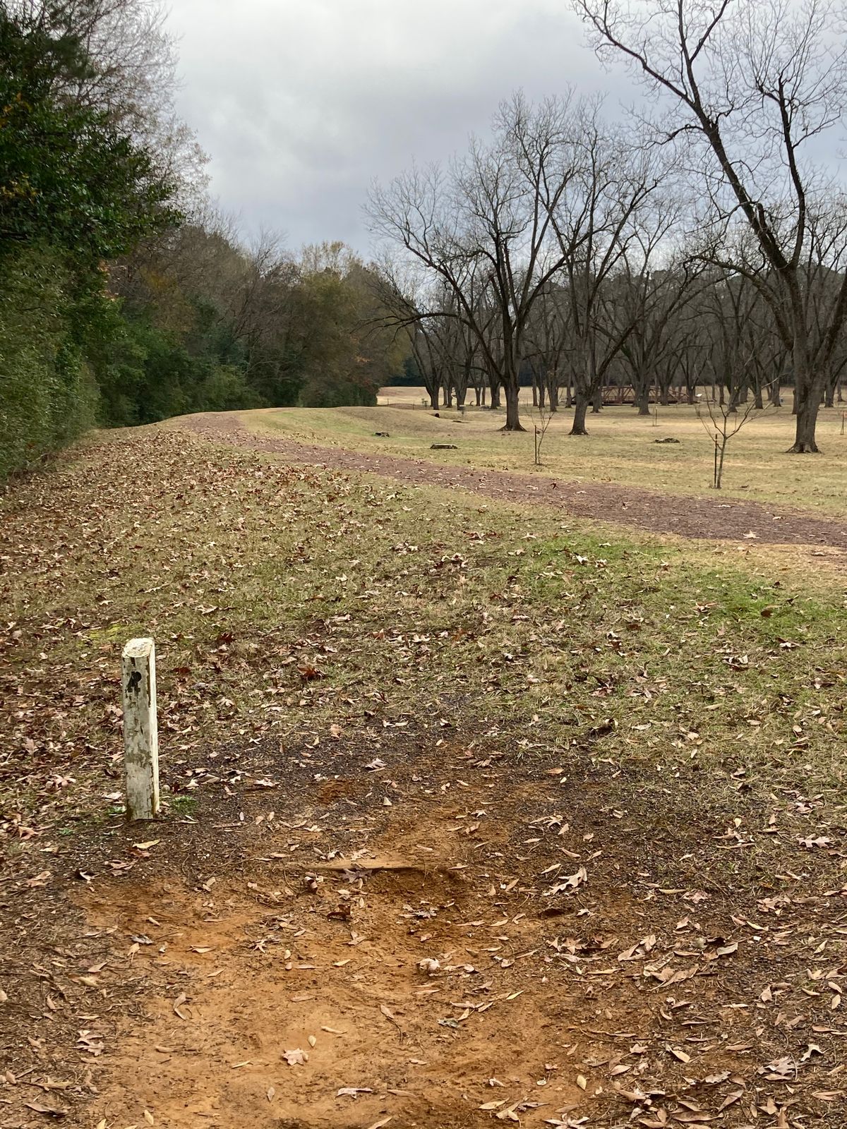 Hole 4