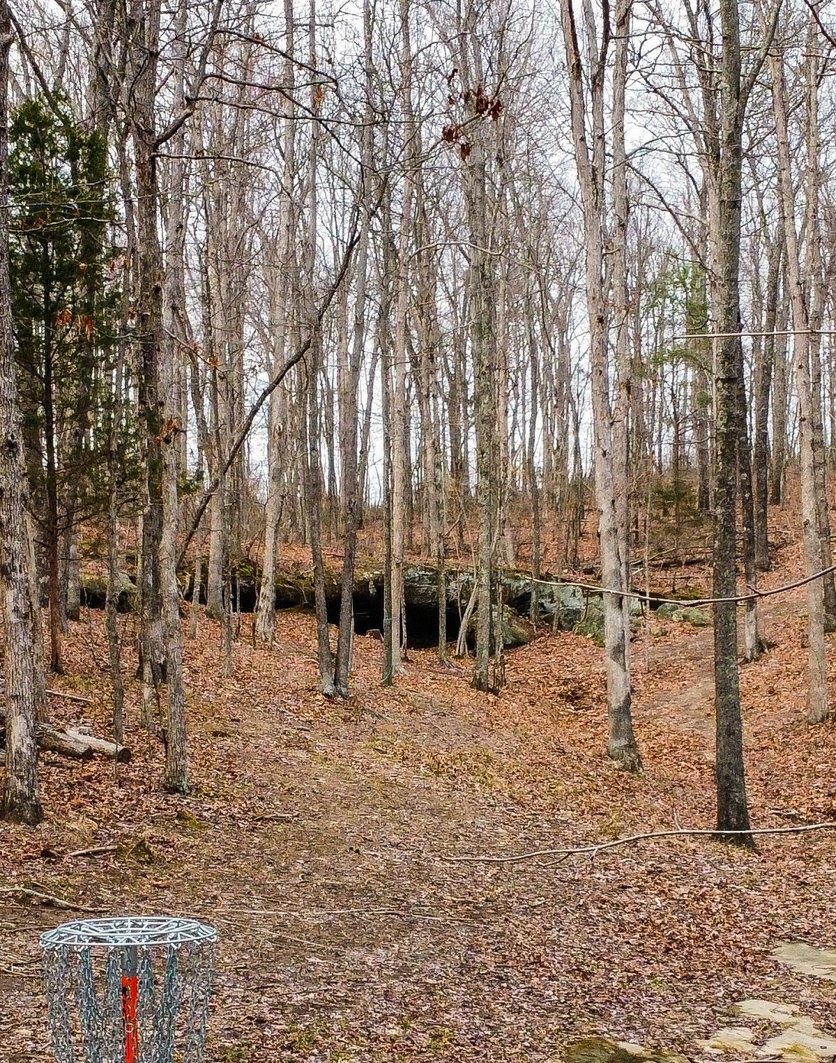 Hole 3, basket to tee