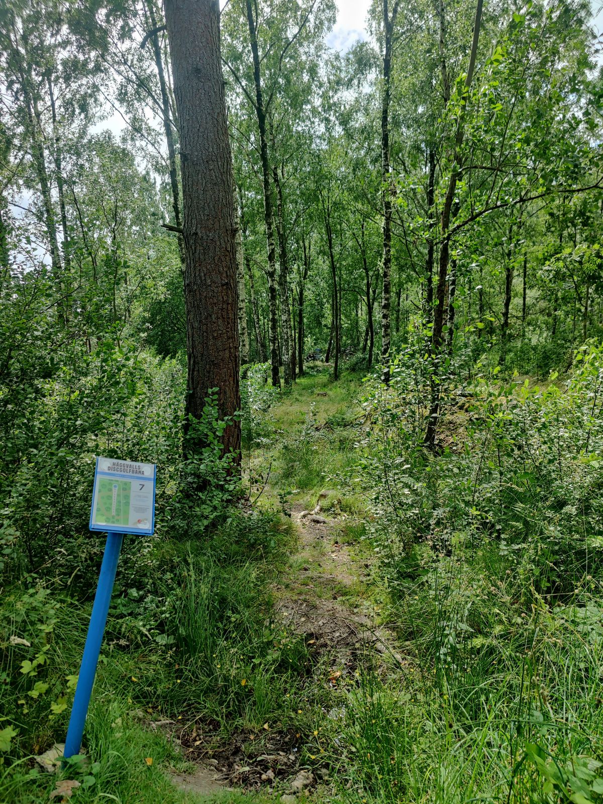 Hål 7 är en riktig utmaning!