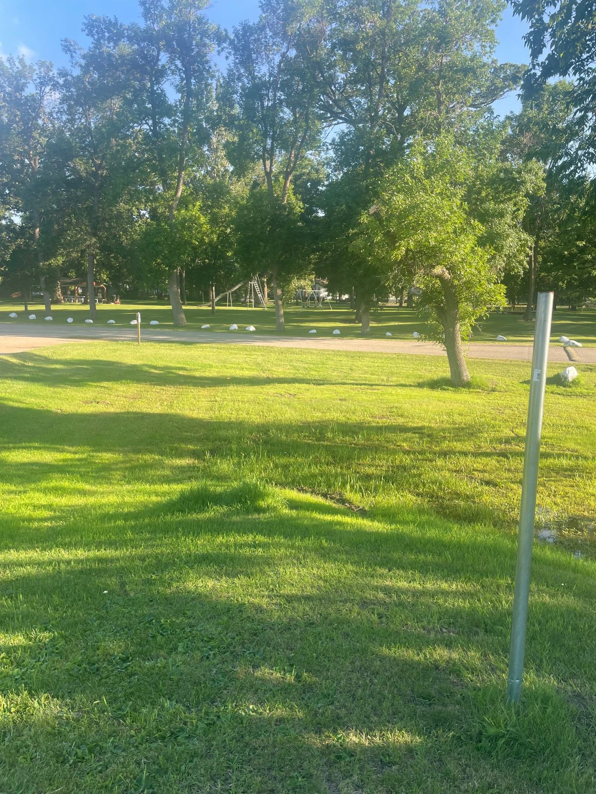 Tee 8