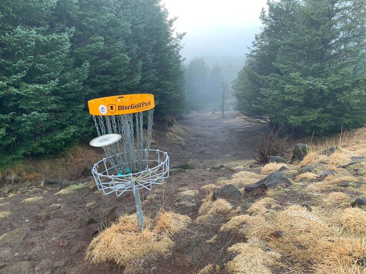 Disc striking the chains on hole 5. Viewed behind the basket looking towards the tree.