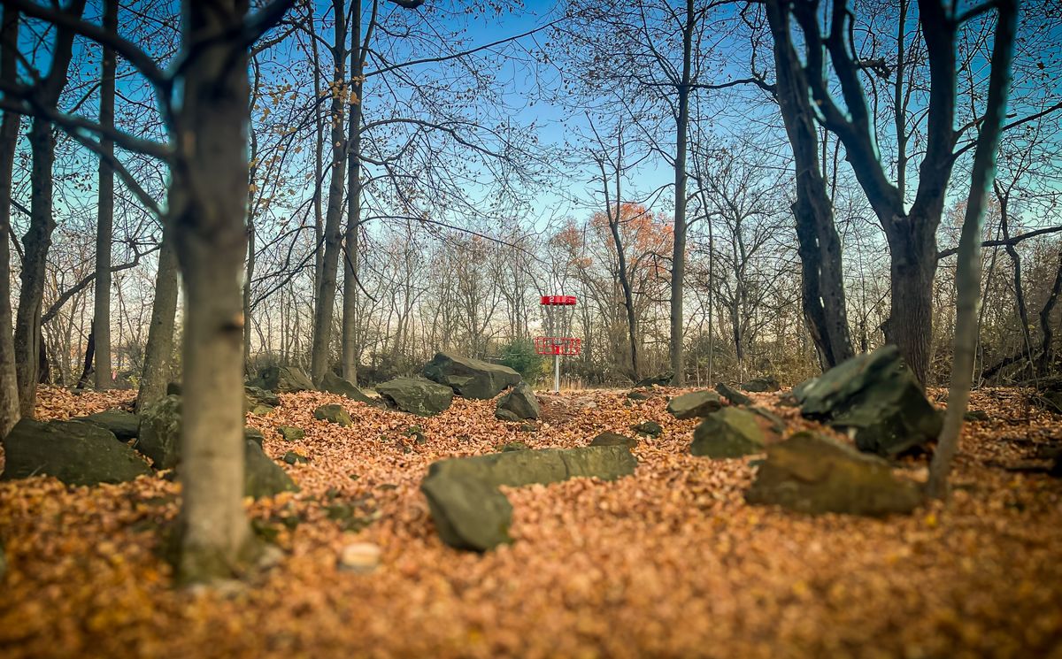 Hole 2 basket in the fall