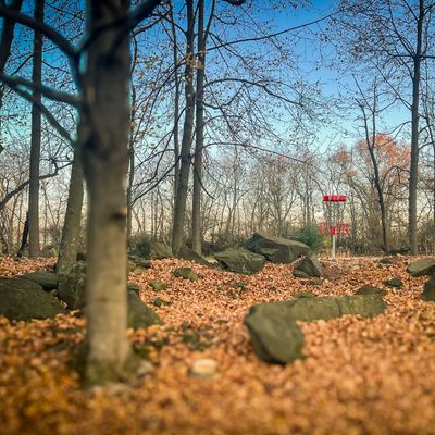 Hole 2 basket in the fall