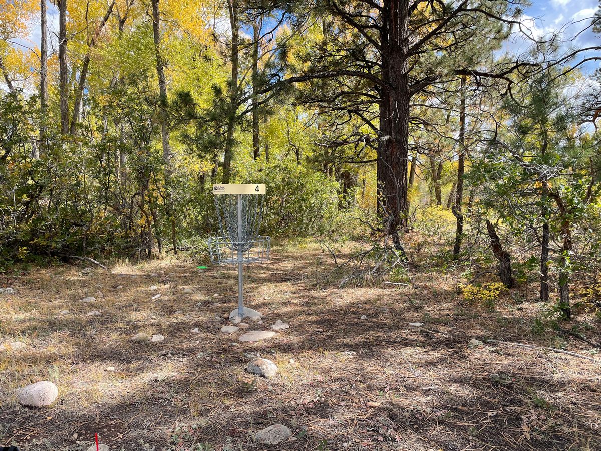 Hole 4 Silver Pick Disc Golf Course