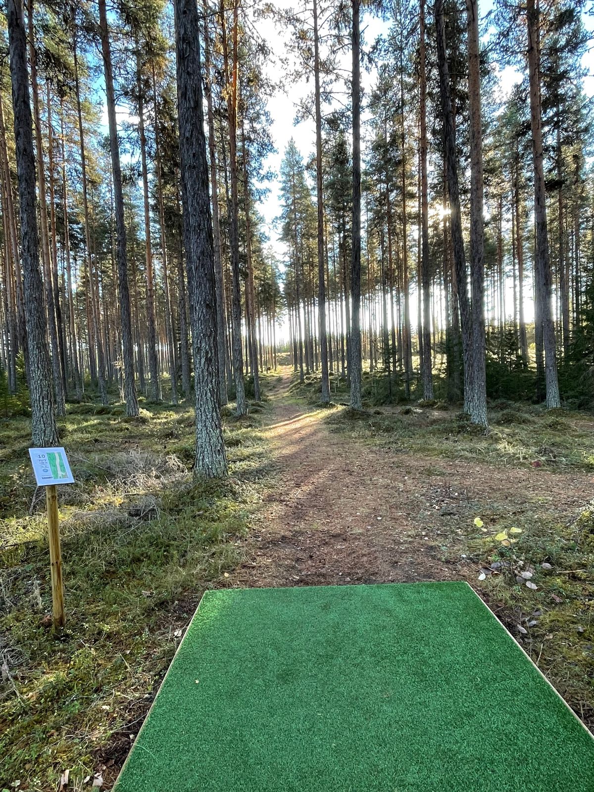 New Hole 10