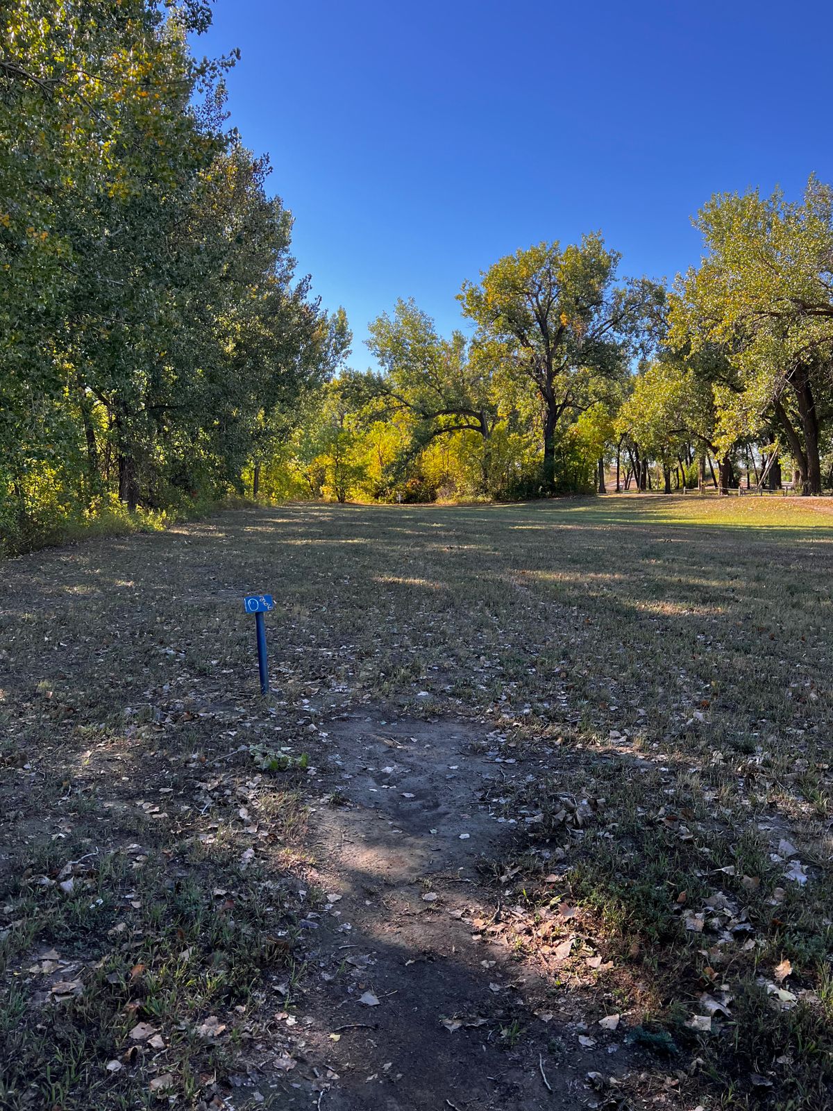 Tee 10