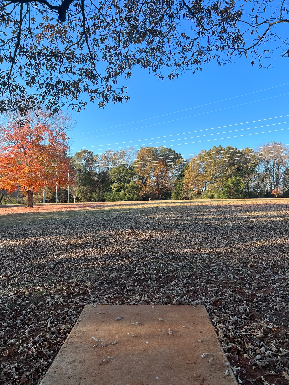 Hole 7