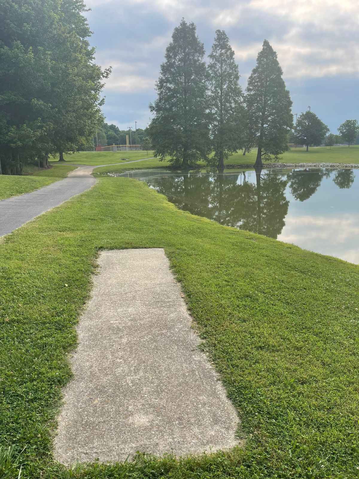 Hole 15 tee, basket over on the right side of trees