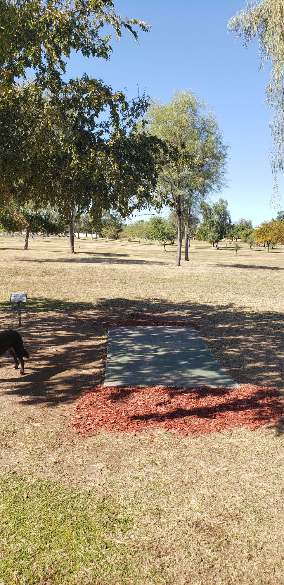 hole 10 tee