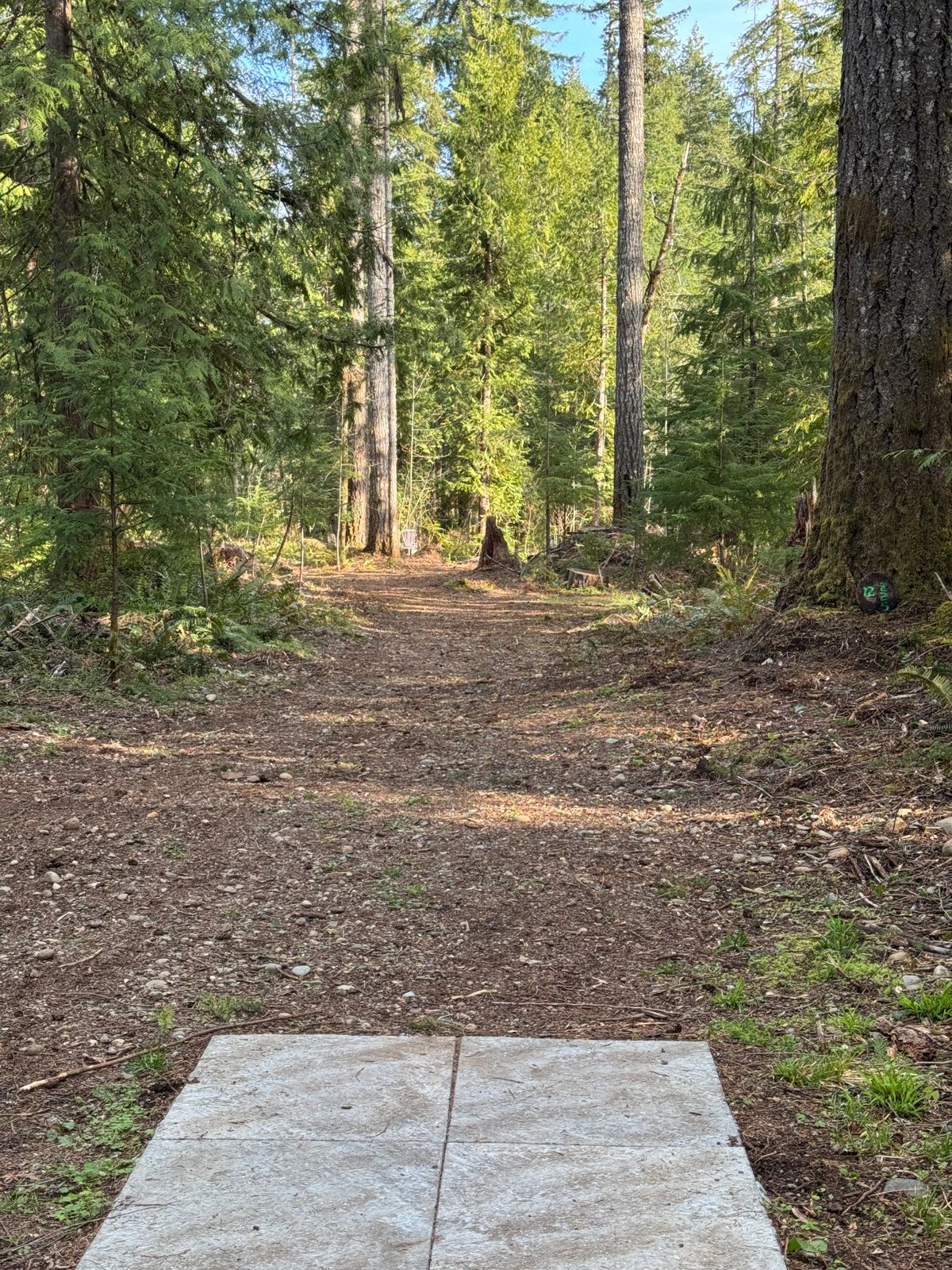 Hole 12