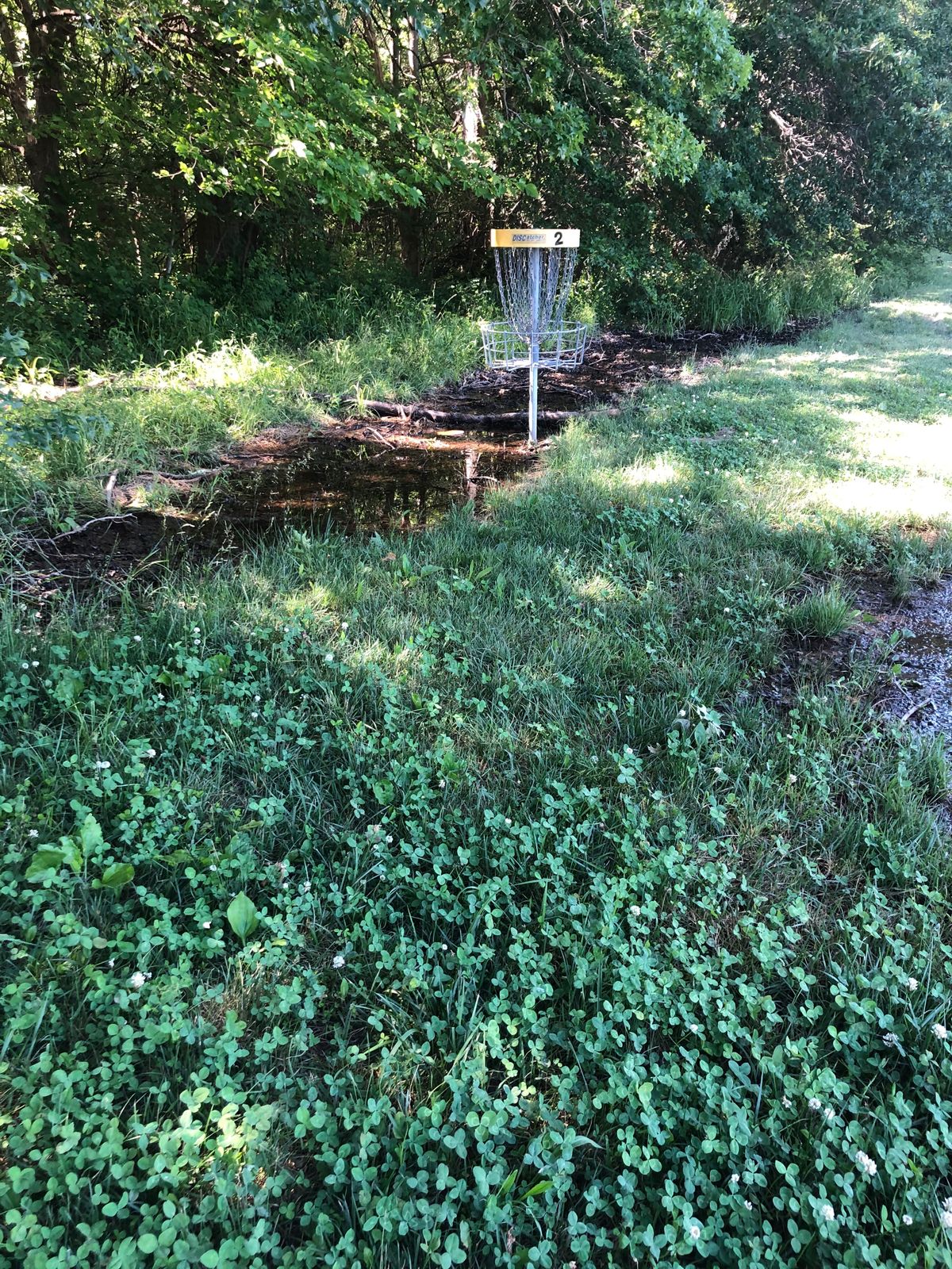 Hole 2 Basket
